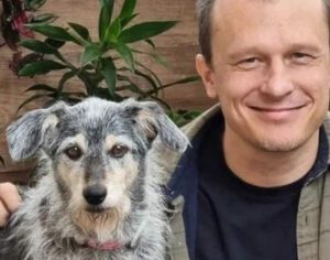 Morre Estopinha, primeira influencer pet do Brasil, aos 14 anos