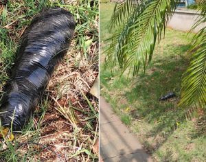 Polícia Militar isola ruas no Centro de Londrina por suspeita de bomba