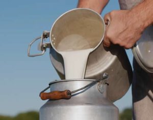 Governo federal publica decreto que fortalece a produção de leite no Brasil