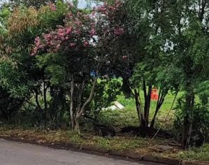 Corpo é encontrado carbonizado em terreno na Zona Norte de Londrina
