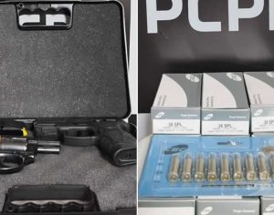 Londrina: Polícia apreende armas e 460 munições de acusado de agredir esposa