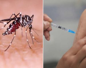 Região de Londrina vai receber vacinas contra dengue; veja as cidades