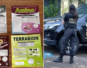 PF deflagra ação contra fabricação clandestina de produtos animais na RML