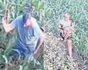 Polícia Civil indicia dupla que tentou matar cachorrinha em Cambé