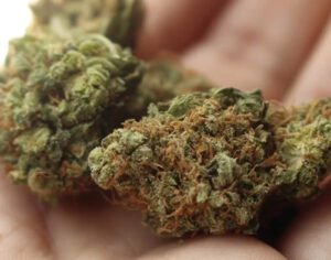 STF tem maioria para descriminalizar porte de maconha para uso pessoal