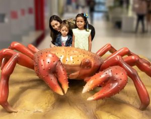 Shopping de Londrina abre exposição de animais marinhos gigantes