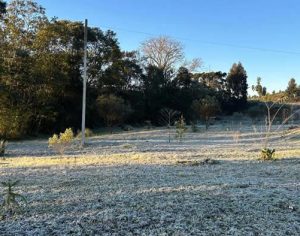 Cidade do Paraná registra 5,9ºC neste sábado; veja o tempo em Londrina