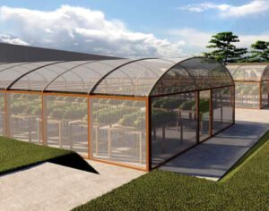 Londrina ganhará horto de plantas medicinais e condimentares do IDR-PR