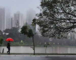 Londrina já registrou mais de 250 milímetros de chuva em novembro