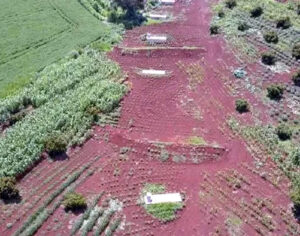 MPF multa Viapar em R$ 222 milhões pela não construção de obra na RML