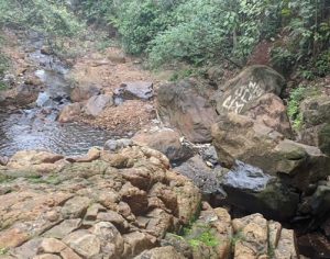 Jovem é encontrado morto em córrego na região leste de Londrina