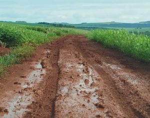 Prefeitura fará mutirão para recuperar estrada rural do Eli Vive