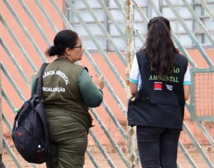 Distrito da Warta recebe ações de combate à dengue nesta sexta