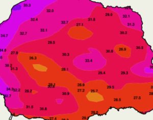Londrina tem sensação térmica de 39ºC neste domingo; saiba mais