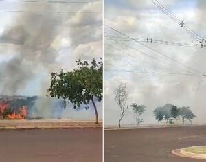 Incêndio atinge vegetação na região do Acquaville em Londrina