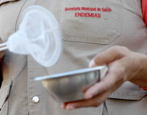 Londrina mantém estabilidade e zero óbitos por dengue no 2º semestre