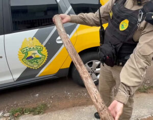 Londrina: rapaz é baleado e preso após ameaçar ex com pedaço de madeira