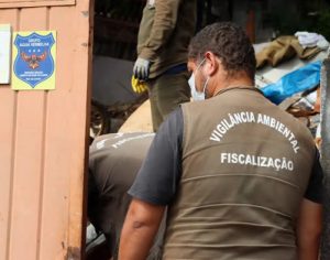 Saúde confirma 181 novos casos de dengue em Londrina; veja boletim