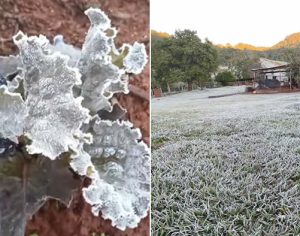 Londrina registra geada e sensação térmica negativa de -1ºC nesta quarta