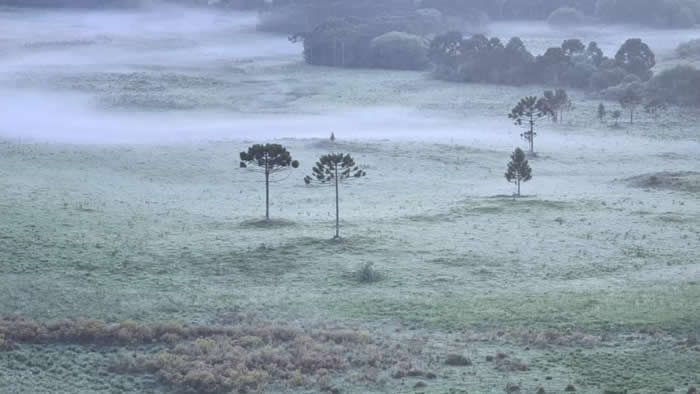 frio parana