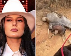 Jovem que cortou patas de cavalo é preso após denúncia de Ana Castela