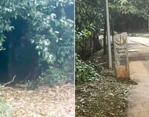 Mulher denuncia caso de importunação sexual no aterro do Lago Igapó