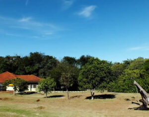 Parque Mata dos Godoy reabre nesta semana; confira dias e horários