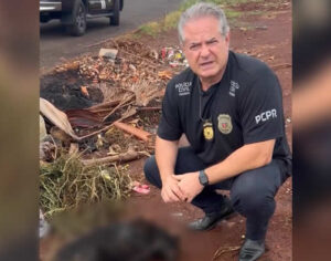 Homem é preso após matar e atear fogo em cachorro no Norte do Paraná