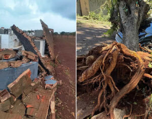 Londrina decreta situação de emergência após estragos de temporal