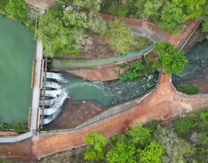 Parque Arthur Thomas recebe atividades gratuitas neste domingo; confira