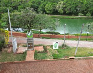 Evento gratuito reúne arte e natureza no Parque Arthur Thomas neste domingo