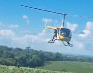 Corpo de motorista de aplicativo é encontrado em área de vegetação