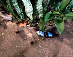 Discussão termina em agressão com garrafa no Centro de Londrina