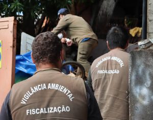 Boletim da Saúde aponta 229 casos confirmados de dengue em Londrina