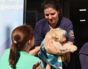 Londrina abre cadastro para nova etapa do Castramóvel; veja como se inscrever