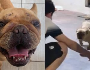 Zoe é encontrada após matéria do TEM e volta para casa em Londrina