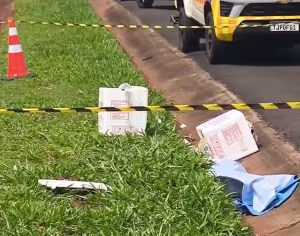 Caixas com cachorros mortos são encontradas na PR-445 em Londrina