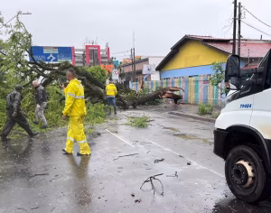 Temporal derruba mais de 50 árvores e destelha 25 imóveis em Londrina
