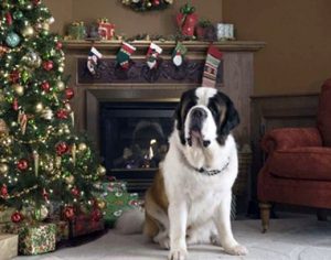 5 filmes natalinos com cãezinhos para você assistir com a família toda