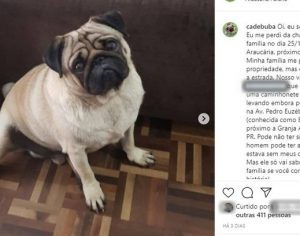 Casal é preso por extorsão ao exigir dinheiro por cachorro desaparecido