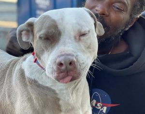 Morador de rua salva cães e gatos de incêndio