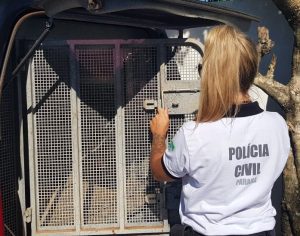 PCPR prende homem por tentativa de homicídio em Pontal do Paraná