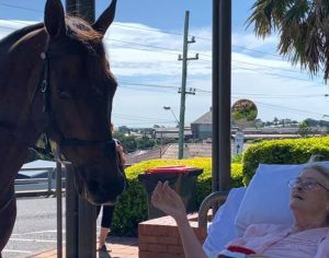 Idosa realiza último desejo de fazer carinho em um cavalo